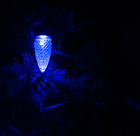 Blue light bulb shaped as a pinecone among the pine leaves in the night dark.の写真素材