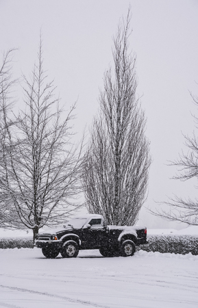 Parking lot in snow with lonely truck under the treeの写真素材