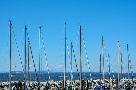 Sailing boats masts at mooring line on Pacific ocean harborの写真素材