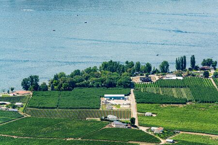 Landscape overview with farmers house at Okanagan lake on sunny summer dayの写真素材