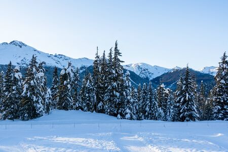 Winter view on mountains and forest in snow  village in Wistler, BC.の写真素材