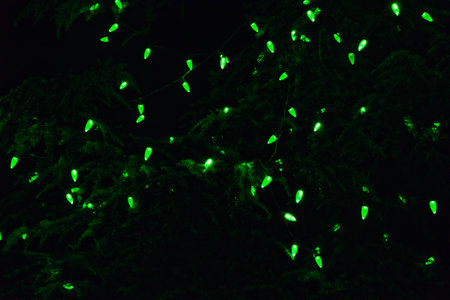 Green light balbs shaped as a pinecone among the pine leavesの写真素材