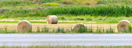 Dry yellow straw bales laying on the farm field at the road