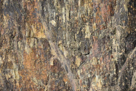 Natural slate texture in various shades on the montuainの写真素材