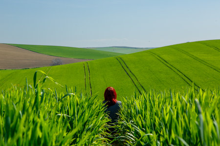 Person in a wheat field, hills, sunny day, symbolizing relaxation and freedom in the countryside