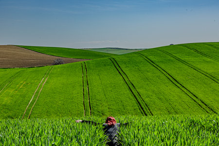 A person is enjoying the tranquil beauty of a lush green field under a clear sky on a beautiful dayの写真素材