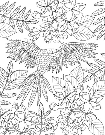 hand drawn bird coloring pageのイラスト素材