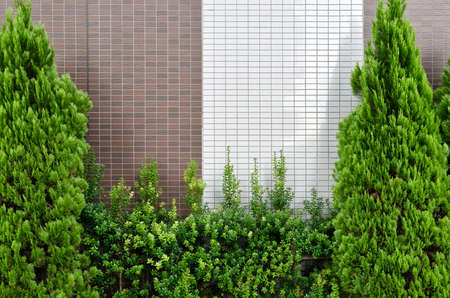Decorative wall and plants.