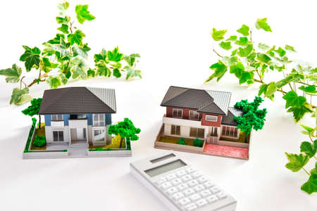 House model and green ivy plants on white background.の写真素材