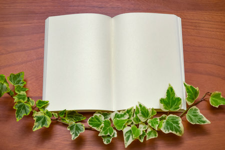 Background material for notebook and ivy.の写真素材
