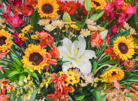 Colorful festive flowers. Brightly colored flower arrangement.の写真素材