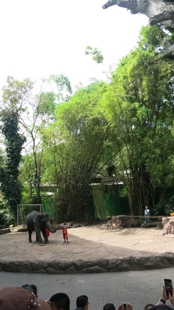 Safari World, Bangkokのeditorial素材