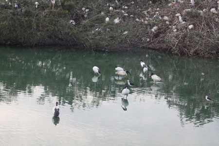 Safari World, Bangkokのeditorial素材