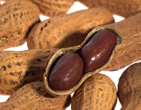 Close up of Peanuts in Shell