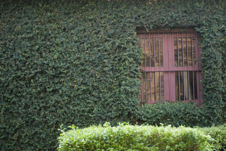 Windowの写真素材