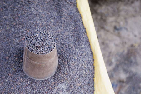 High angle view of lentil in a container, Katmandu, Nepalの写真素材