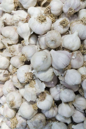 Close-up of a heap of garlic, Katmandu, Nepalの写真素材