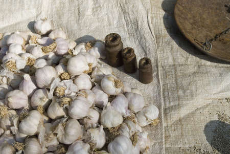 Close-up of a heap of garlic, Katmandu, Nepalの写真素材