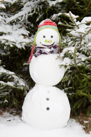 Snowman wearing earflap beanieの写真素材