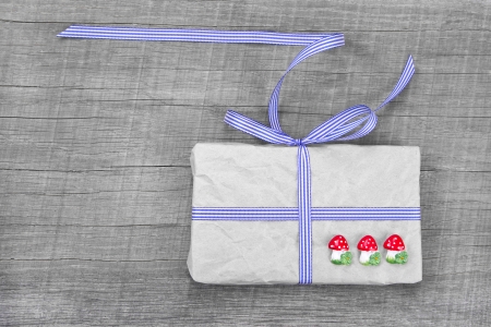 Giftbox with blue striped ribbon and mushroom decorationの写真素材
