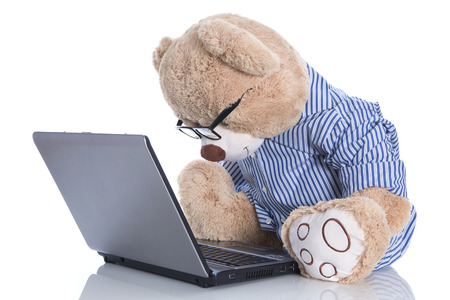 Teddy bear with glasses looking at lap top isolated on white の写真素材