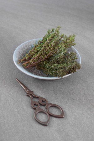 Dried thyme with an old scissorsの写真素材
