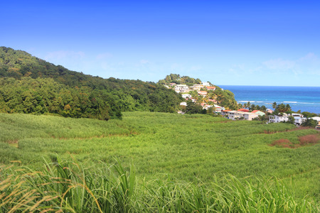 Landscape from the caribbean Island Doninican Republic の写真素材