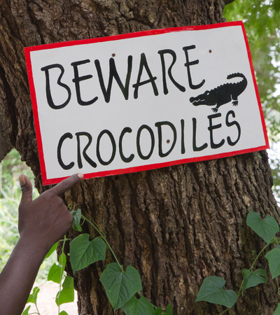 Attention - dangerous crocodiles in Africa.の写真素材