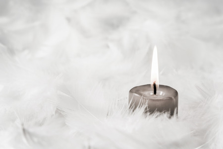 One gray burning candle on white background with feathers.の写真素材