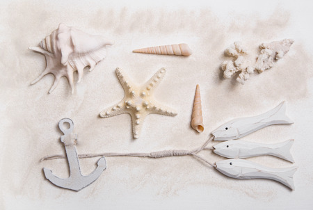 Summer decoration with starfish, anchor and sea shells in white and beige color.の写真素材