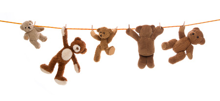 Hanging team of teddy bears on a clothing line with pegs.の写真素材