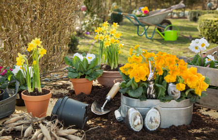 Easter handmade decoration with spring flowers and rabbits at home in the garden.の写真素材