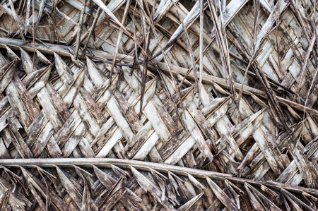 Natural CrossHatch Pattern made out of dried palm leavesの写真素材