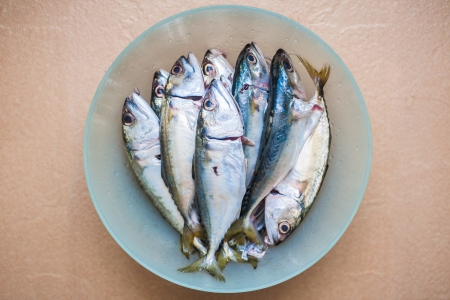 Raw Fish in a bowl isolated