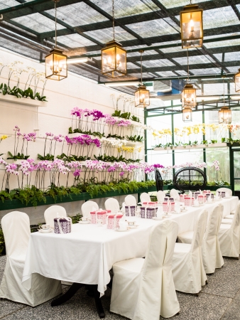 Tea Time in Orchid Observatoryのeditorial素材