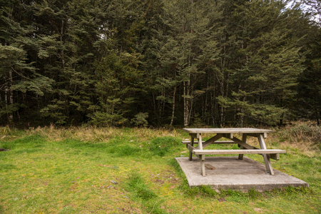 Picnic table in the forest/park in New Zealandの写真素材