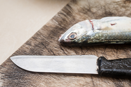 Blunt knife and a fresh fish on a dirty cutting boardの写真素材