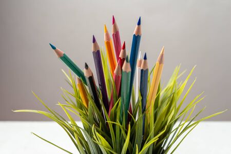 Nature Growth - Still Life Conceptual - Colored Pencils coming out of grass. Shallow depth of field, selective focusingの写真素材