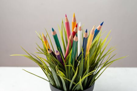 Nature Growth - Still Life Conceptual - Colored Pencils coming out of grass. Shallow depth of field, selective focusingの写真素材