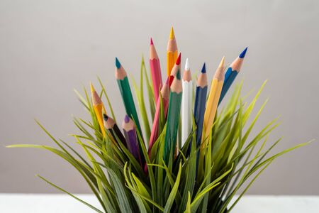 Nature Growth - Still Life Conceptual - Colored Pencils coming out of grass. Shallow depth of field, selective focusingの写真素材