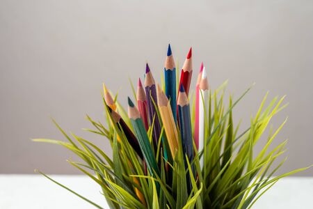 Nature Growth - Still Life Conceptual - Colored Pencils coming out of grass. Shallow depth of field, selective focusingの写真素材