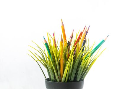 Nature Growth - Still Life Conceptual - Colored Pencils coming out of grass. Shallow depth of field, selective focusingの写真素材