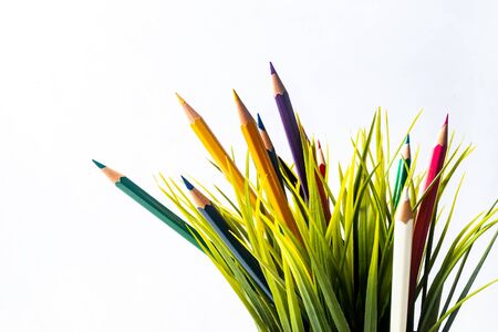 Nature Growth - Still Life Conceptual - Colored Pencils coming out of grass. Shallow depth of field, selective focusingの写真素材