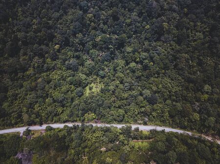 Aerial View - Road cutting through a rainforest