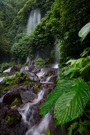 Lush Tropical Waterfall Flowing Through Green Jungle Landscapeの写真素材