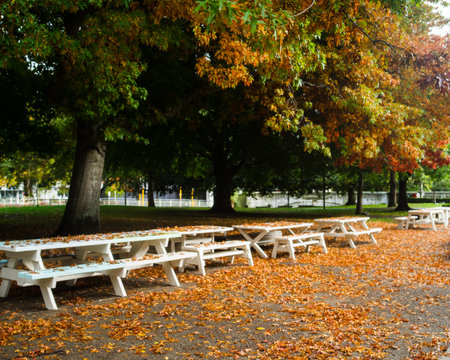 Tables are set in fall with no one on themの写真素材