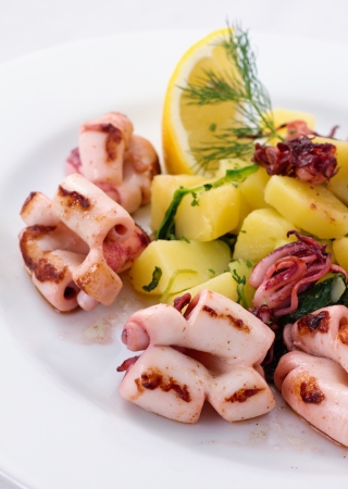 Delicious calamari cut in flower-like shape grilled on charcoal bbq  Served on boiled potato and garnished with dill and lemonの写真素材