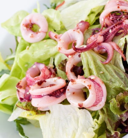 Squid is a good food source for zinc and manganese, and high in copper, selenium, vitamin B12, and riboflavinの写真素材