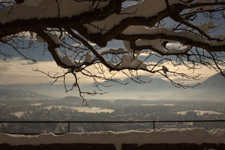 Winter panoramaの写真素材