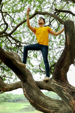 A young man on a tree is holding his phone and looking for a network.の写真素材
